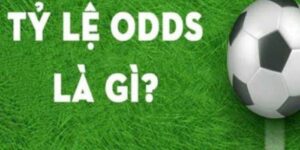 Odds trong bóng đá là gì