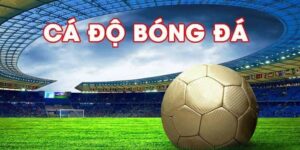 Trang cá độ bóng đá uy tín